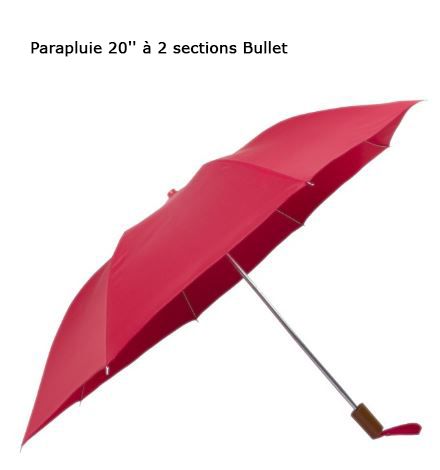 Parapluie impression